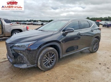 Lexus NX II 2024 Lexus NX 350 Premium 2024 2.4 Benzyna 275KM