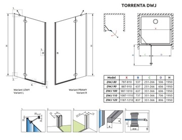 Душевая дверь RADAWAY Torrenta DWJ 110x195 ПРАВАЯ