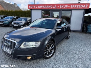 Audi A6 C6 2006 Audi A6 Limousine Audi A6 Limousine 2.0 Diesel 136KM, zdjęcie 13