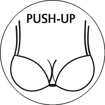 TRIUMPH LOVELY MICRO WHUD PUSH-UP 70D