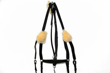 ПЯТИТОЧЕЧНАЯ ПОЛНОМЕРНАЯ НАГРАДА С МИНГЛИНГОМ