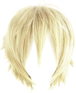 Męska krótka peruka Cosplay Hairpiece