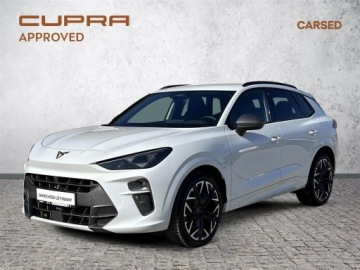 Cupra Terramar SUV Plug-In 1.5 TSI e-Hybrid 204KM 2025 Cupra Terramar 1.5e-Hybrid 204KM DSG | Advantage E