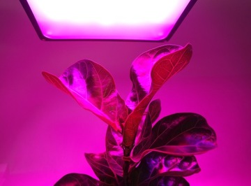 Лампа MEiSSA LED GROW FullSpectrum UV 300W 300LED