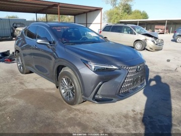 Lexus NX II 2024 Lexus NX 2024 LEXUS NX 350H LUXURY 2.5 Hybryda 189KM, zdjęcie 1