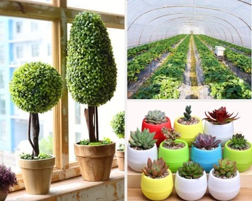 ZESTAW taśma LED 300 GROW IP65 wzrostu roślin 4m