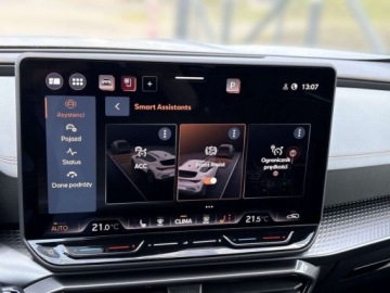 Cupra Formentor Crossover Facelifting 2.0 TSI 333KM 2025 Cupra Formentor TSI 4Drive 333KM VZ Pakiet EXTREME Matrix LED Kam. 360, zdjęcie 29