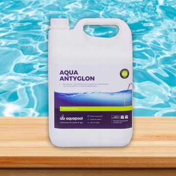 Средство против водорослей для бассейна Aqua SPA 5 л