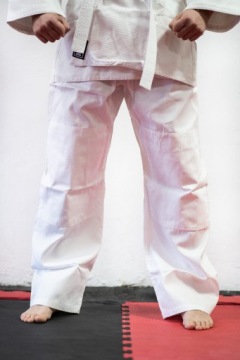 Дзюдоги Дэникен СТАНДАРТ белый 1001/W [Размер: 160см]