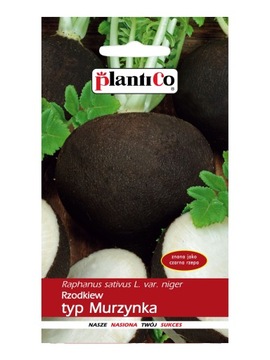 Rzodkiew typ Murzynka PlantiCo