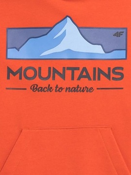 СВИТШОТ С КАПЮШОНОМ 4F ДЛЯ МАЛЬЧИКОВ AW23M634