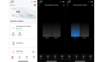 Настенный переключатель Tuya Smart с двойным реле Wi-Fi