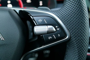 Skoda Kamiq Crossover Facelifting 1.0 TSI 115KM 2025 Škoda Kamiq Skoda Kamiq Monte Carlo 1.0 TSI 115, zdjęcie 16