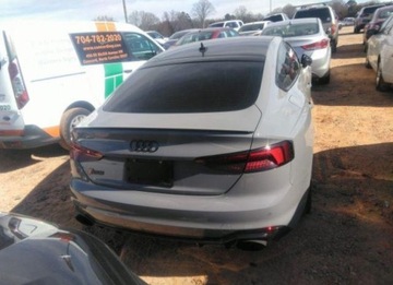 Audi A5 F5 2019 Audi RS5 2019, 2.9L, 4x4, od ubezpieczalni, zdjęcie 4