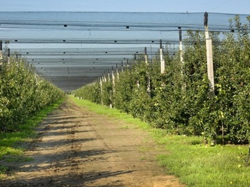 ЗАЩИТНАЯ СЕТЬ ОТ ПТИЦ ДЛЯ ПТИЦ И САДОВ ДЛЯ ПТИЦ, ГЛАДКАЯ 27х27мм