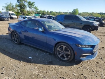 Ford Mustang VI 2024 Ford Mustang 2024 2.3l 2.3 Benzyna 315KM, zdjęcie 4