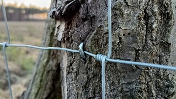 Сетка для лесного забора рулон 50м 180/23/30 G16