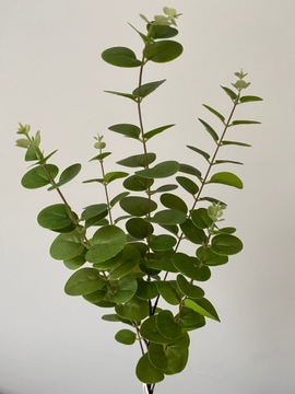 ИСКУССТВЕННЫЙ ЭВКАЛИПТ XXL как жизнь ИСКУССТВЕННЫЕ ЦВЕТЫ