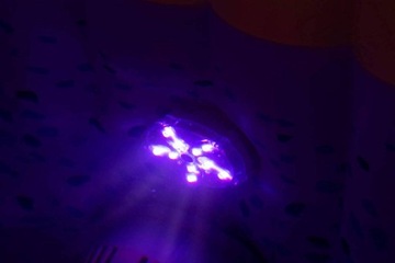 Светильник для бассейна на батарейках для Lay-Z-Spa LED MULTICOLOR Bestway 60303