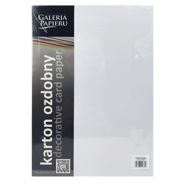 PAPIER WIZYTÓWKOWY KRATKA BIAŁY OZDOBNY GALERIA PAPIERU A4 220G 20 ARKUSZY