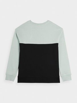 СПОРТИВНАЯ ТОЛСТОВКА ДЛЯ МАЛЬЧИКОВ 4F, БЕЗ МОЛНИИ