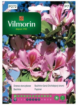 Drzewo storczykowe Bauhinia 6 g Vilmorin