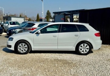 Audi A3 8P Hatchback 3d 1.6 TDI 105KM 2011 Audi A3 Sportback 1.6 TDI 105KM led climatronic 5 drzwi nowe sprzeglo 1.6, zdjęcie 8