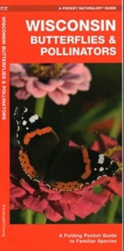 Wisconsin Butterflies & Pollinators: A