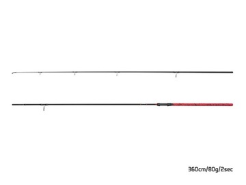 Дельфин ЗОМБИ