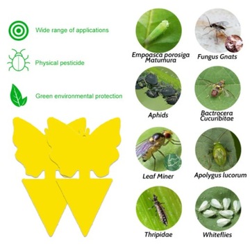 24 НАБОРА YELLOW POT PARTY для земляных комаров, тли, плодовых мух, насекомых