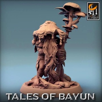 Гном Боровичок Отряд