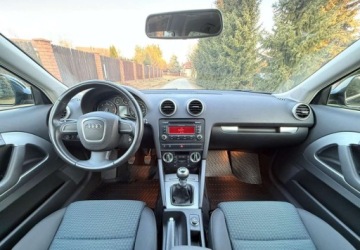 Audi A3 8P Hatchback 3d 1.6 TDI 105KM 2010 Audi A3 3-drzwiowe Audi A3 3-drzwiowe 1.6 TDI DPF Ambition 1.6 Diesel 105KM, zdjęcie 18