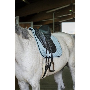 EQUITHEME czaprak GLOSSY light green 24H (R: VS/Full)