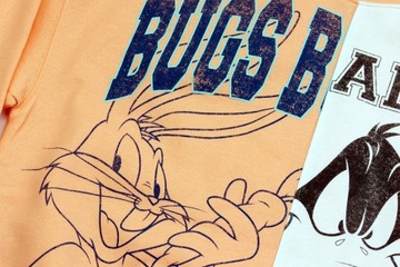 Looney Tunes Zwariowane Melodie Bluza męska bez kaptura r. M nadruk Vintage