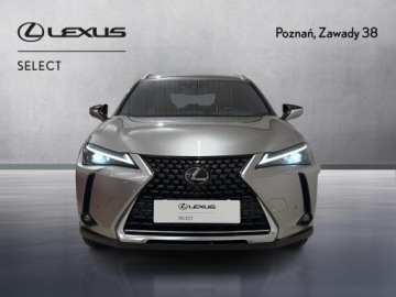 Lexus UX Crossover 200 171KM 2022 Lexus UX 200 GPF Business 2WD Lexus UX 200 GPF Bus, zdjęcie 5