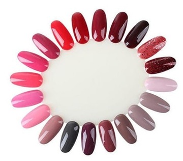 Wzornik do Paznokci Słoneczko Clear Próbnik Kolorów Lakierów Żeli Farbek