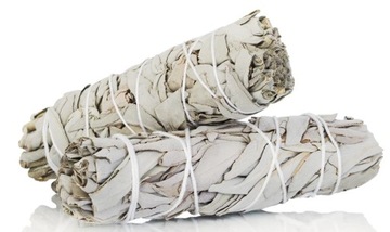 BIAŁA SZAŁWIA 2 x ROLKA (80g), ZBIÓR 2023, DOBRY SUSZ, GATUNEK I, OCZYSZCZA