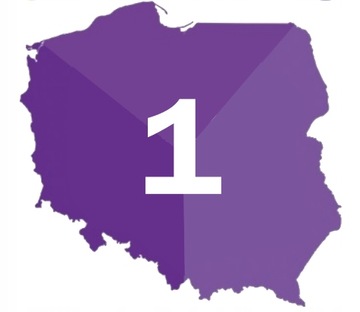 MOSPILAN 20 SP ŚRODEK OWADOBÓJCZY NA MSZYCE ĆMĘ SZKODNIKI WARZYW OWOCÓW 40G