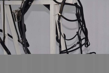 ОДИНАРНАЯ РЕГУЛЯЦИЯ КУСАК
