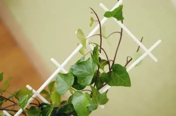 Drabinka podpórka do roślin kwiatów biała 67cm