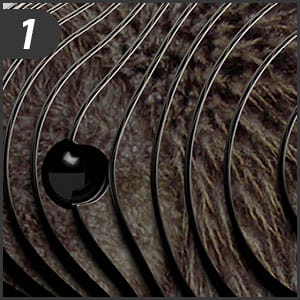 Необычный набор «Птица Киви» 3D Пазл ЭКО, 24 детали.