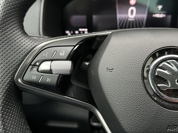 Skoda Karoq Crossover Facelifting 1.5 TSI ACT 150KM 2024 Skoda Karoq 1.5TSI 150KM Selection l Pakiet Winter, zdjęcie 18