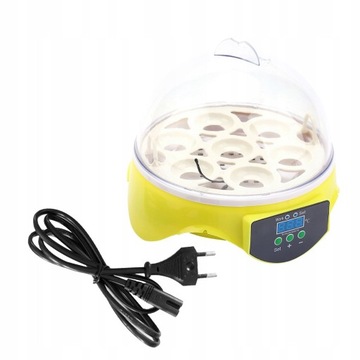 Bird Incubator