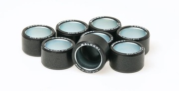 ROLKI WARIATORA MALOSSI 25x17 14g PIAGGIO 400 500