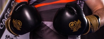 БОКСЕРСКИЕ ПЕРЧАТКИ BUSHIDO С ЛОГОТИПОМ ДЛЯ ТРЕНИРОВКИ И СПАРИНГА, 12 УНЦИЙ, ЧЕРНЫЕ