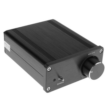 Mini TPA3116 2. D Odbiornik z podwójnym