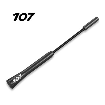 17CM ANTÉNA AUTOMOBILNÍ PRO PEUGEOT 208 207 308 206 307 407 2008 300~16049