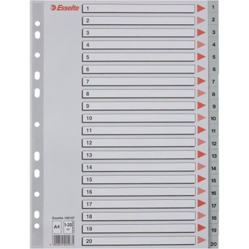 Przekładki plastikowe numeryczne z PP A4 1-20 szare 100107 ESSELTE