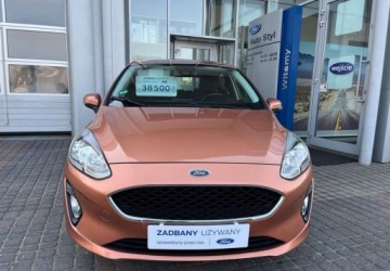 Ford Fiesta VIII Hatchback 3d 1.0 EcoBoost 100KM 2018 Ford Fiesta Ford Fiesta 1.0 EcoBoost STart-Stop Trend Benzyna 101KM, zdjęcie 1
