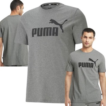 koszulka sportowa puma t-shirt męski bawełniany szary r m